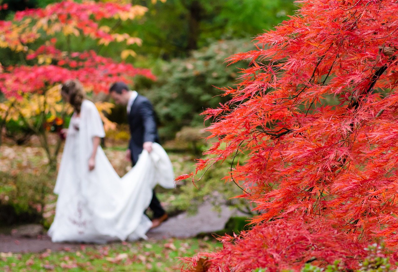 秋の結婚式にお呼ばれ 秋らしい服装を楽しむヒント ウェディングメディアmarrial