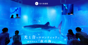 海遊館_夜