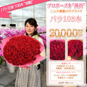 ネットで買える プロポーズに渡したいバラの花束10選 ウェディングメディアmarrial