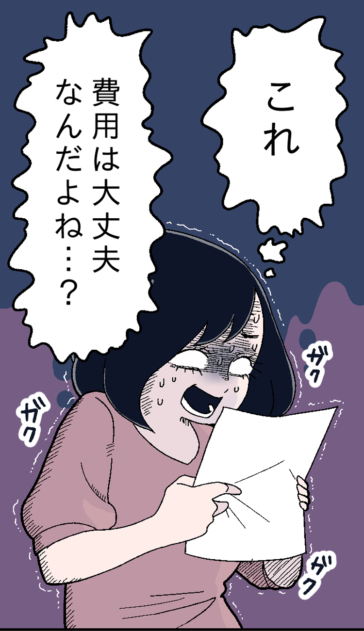 これ費用は大丈夫なんだよね…？